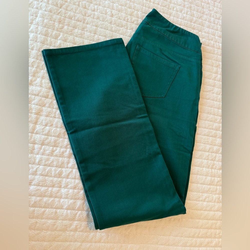 Soft Surroundings pants